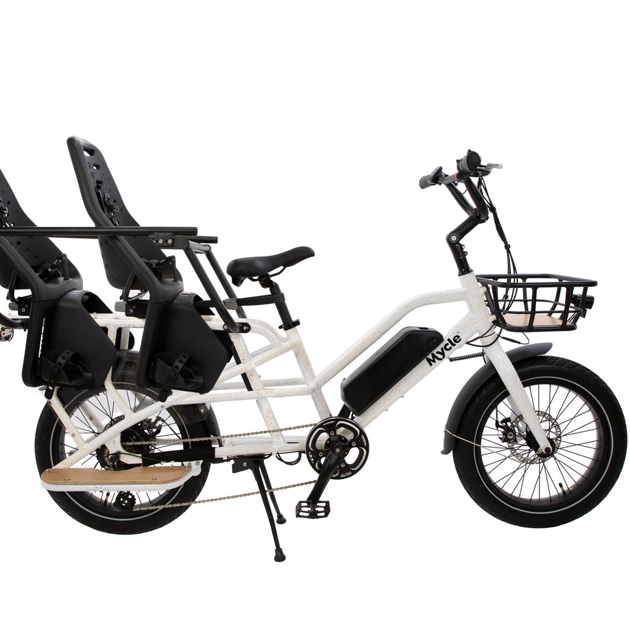 Cargo Electric Bike