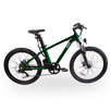 Climber Electric Hardtail Mountain Bike