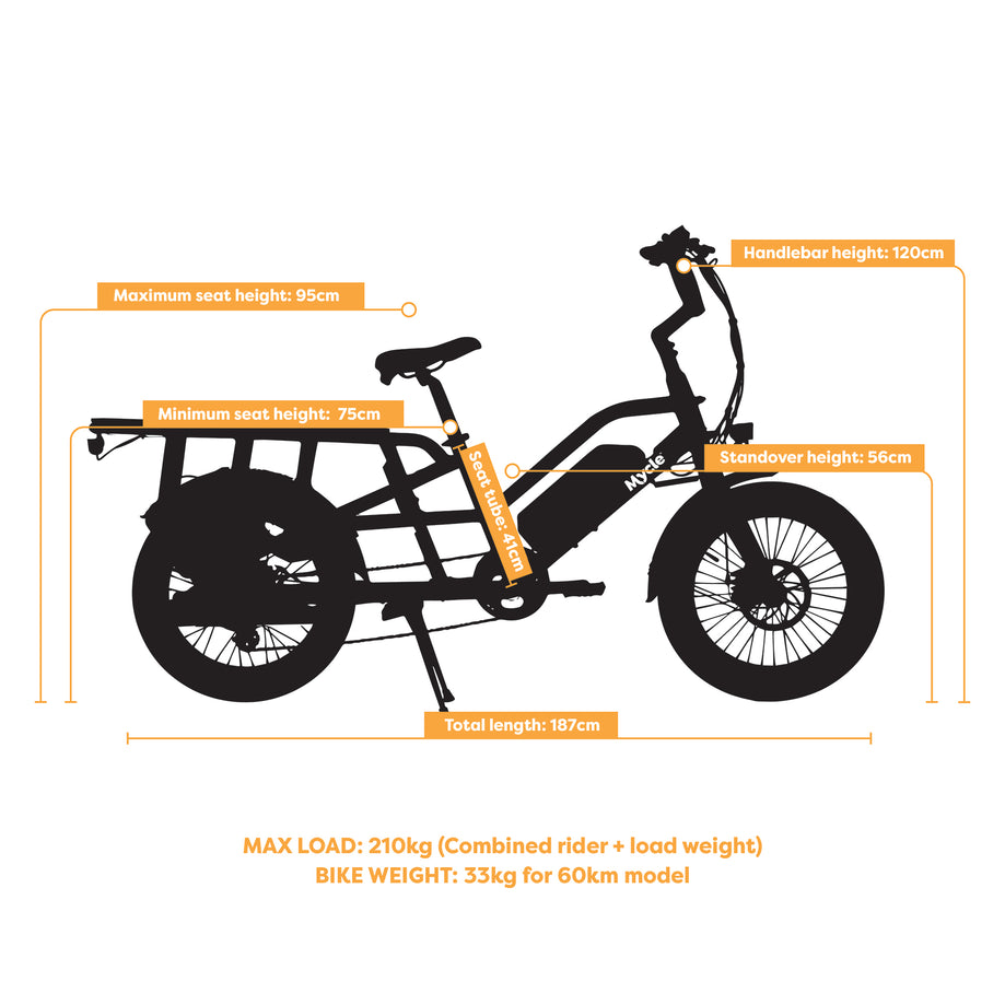 Cargo Electric Bike