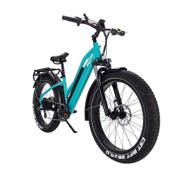 Commander Fat Tyre Electric Bike
