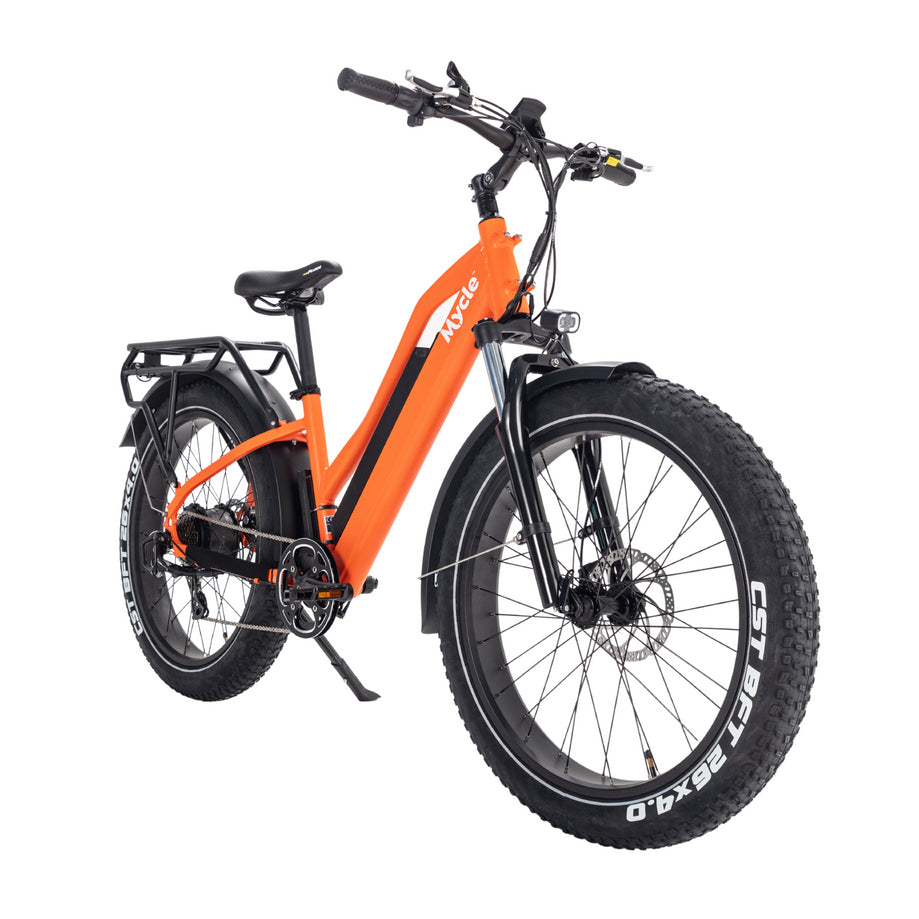 Commander Fat Tyre Electric Bike